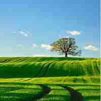 免‍费‍CSS3插‌件​